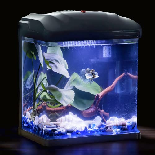 TARARIUM Glass Betta Fish Tank Set Up Self Cleaning 2 Gallon Small Nano Aquarium Starter Kit w/Rain Type Quiet Filter and LED Planted Light for Shrimp Goldfish Guppy Desktop Office Room Decor, Black