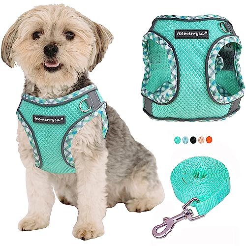 TEEMERRYCA All Weather Dog Harness and Leash Set Easy to Put On/Off, No Pull Adjustable Reflective Step-in Pet Harness Vest for Puppies and Extra Small Dogs and Cats, Teal, XS