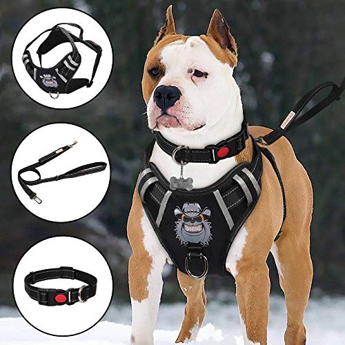 TIANYAO Dog Harness No-Pull Dog Vest Set Reflective Adjustable Oxford Material Pet Harness for Medium Large Dogs with Leash and Collar (Large(Chest:25-35"), Black)