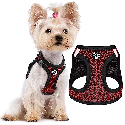 Tiny Dog Harness All Weather Diamond Mesh Reflective Extra Small Dog Harness No Pull Step in Lightweight Vest Harness for Puppy Small Dogs and Cats, Red, XS