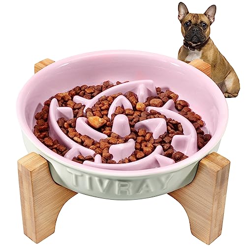 Tivray Slow Feeder Dog Bowls Ceramic, Raised Dog Slow Feeder Bowl with Stand, 1.5 Cups Dog Food Bowls Slow Feeder for Flat Faced Dogs Anti-gulping Prevent Choking Slow Eating Dog Bowl Small Breed