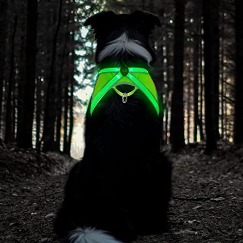 Tripolaco Light Up Dog Harness, High Visibility Led Dog Harness for Night Safety, USB Rechargeable Glowing Dog Harness for Night Walking, Flashing Dog Harness for Small Medium Large Dogs (Green, L)