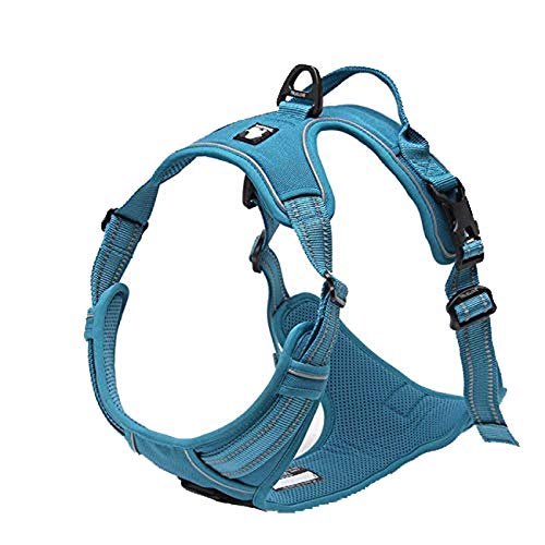 TRUE LOVE Adjustable No-Pull Dog Harness Reflective Pup Vest Harnesses Comfortable Control Brilliant Colors Truelove TLH5651(Blue,L)