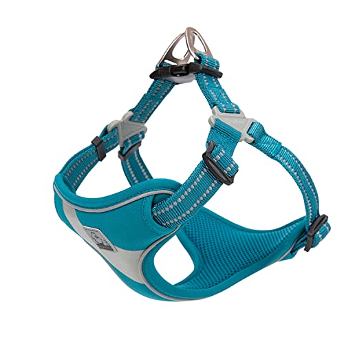 TRUE LOVE Dog Harness TLH5991 Anti Pull Safety Vest Step-in Style Harness for More Comfort and Less Tug Reflective Pet Harness by Truelove