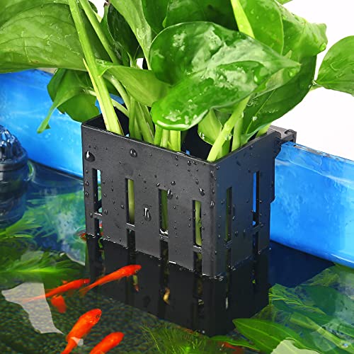 Upgraded Aquarium Hanging Aquatic Plant Holder with Hooks and Suction Cups for Fish Tank Aquaponic Plant Cultivation and Aquascape Decorations 1 Piece (Black)