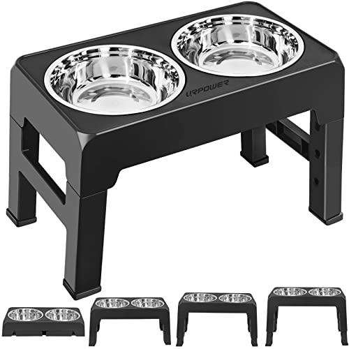 Best Elevated Dog Bowls 2024 Vet Ranch We Love Pets