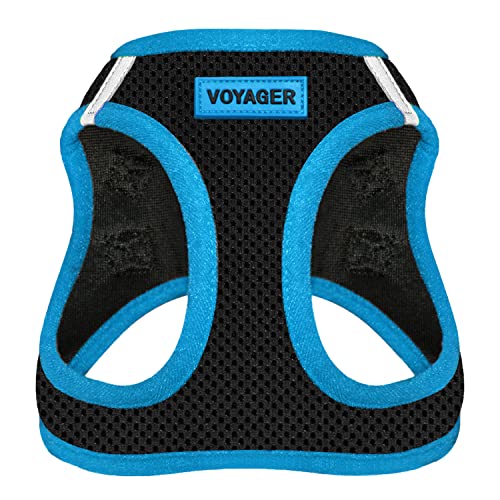 Voyager Step-In Air Dog Harness - All Weather Mesh Step in Vest Harness for Small and Medium Dogs by Best Pet Supplies - Blue Trim, XS