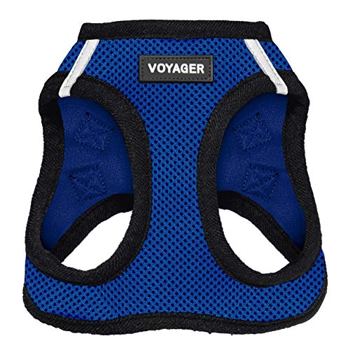 Voyager Step-in Air Dog Harness - All Weather Mesh Step in Vest Harness for Small and Medium Dogs by Best Pet Supplies - Harness (Royal Blue/Black Trim), Medium