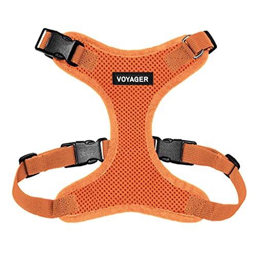 Voyager Step-in Lock Pet Harness - All Weather Mesh, Adjustable Step in Harness for Cats and Dogs by Best Pet Supplies - Orange, XS