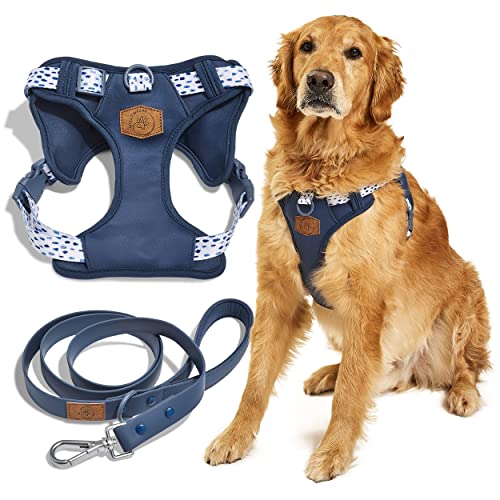 WillowPark Dog Harness and Leash Set - Blue Pebble | Step-in Premium Design, No Pull Dog Harness, Adjustable Large Size, Waterproof Leash, Soft Padded Dog Vest, Cute Dog Harness, Pet Harness