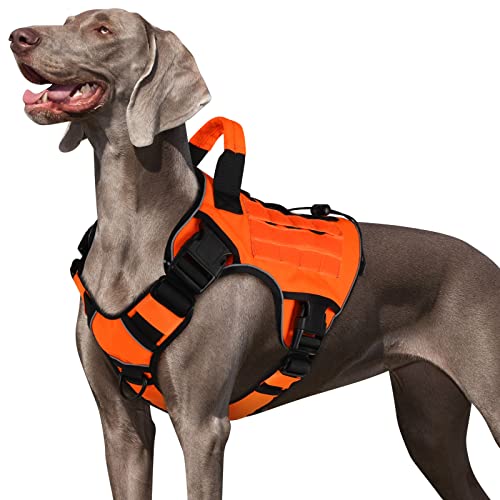 WINGOIN Orange Dog Tactical Harness for Small Dogs No Pull Adjustable Reflective K9 Military Dog Service Dog Harnesses with Handle, Metal Buckles for Dachshund, Boston Terrier, Beagle(S)