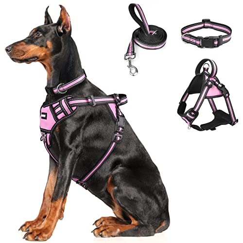 WINSEE Step in Dog Harness Collar and Leash Set, All-in-one Reflective No Escape Dog Harness with Adjustable Buckles for Pet Puppies, Small, Medium, Large, and Extra-Large Dogs