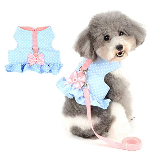 Zunea No Pull Small Dog Girl Harness Dress Escape Proof Cat Kitten Vest Harness Leash Set Step-in Soft Cotton Padded Polka Dot Jacket Chihuahua Puppy Clothes with Cute Bow for Walking Blue XS