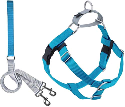 2 Hounds Design Freedom No Pull Dog Harness | Adjustable Gentle Comfortable Control for Easy Dog Walking |for Small Medium and Large Dogs | Made in USA | Leash Included | 1" XL Turquoise