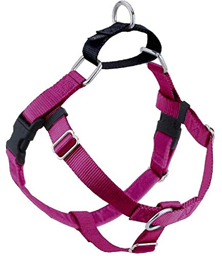 2 Hounds Design Freedom No Pull Dog Harness | Adjustable Gentle Comfortable Control for Easy Dog Walking | for Small Medium and Large Dogs | Made in USA | Leash Not Included | 5/8" XS Raspberry