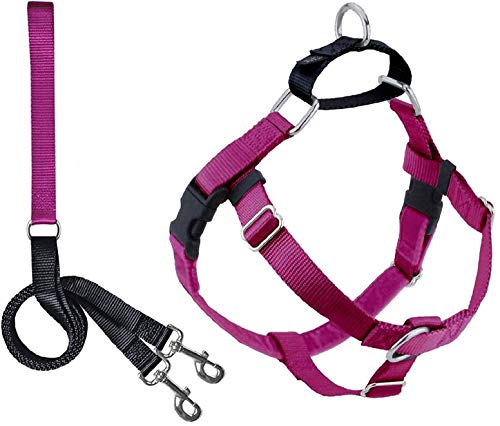 2 Hounds Design Freedom No Pull Dog Harness | Adjustable Gentle Comfortable Control for Easy Dog Walking |for Small Medium and Large Dogs | Made in USA | Leash Included | 1" LG Raspberry