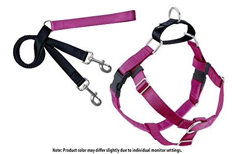 2 Hounds Design Freedom No-Pull Dog Harness with Leash, Medium, 1-Inch Wide, Raspberry