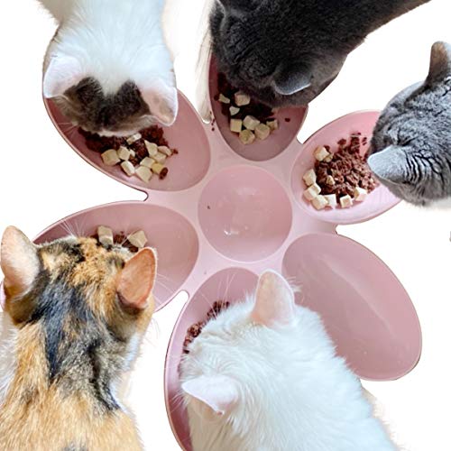 2 Pack Cat Bowls Cat Food Water Bowls Dishes Multi-Cat Feeder 6-Meal Kitten Food Bowl Multiple Cat Dinner with 6 Cat Bowls Kitty Cat Bowls Set Double Feeding Bowl Litter Food Feeding Weaning Feeder