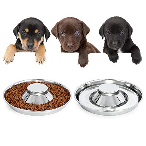 2 Pack Stainless Steel Dog Bowls for Puppy, KASBAH Puppy Feeder Bowl for Feeding Food and Water Weaning Pet Feeder Bowl Water Bowl for Small/Medium Dogs/Cats/Pets