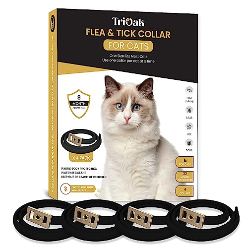 4 Pack Cat Flea Collar, 8 Months Protection Flea Collar for Cats, 4 Count Flea and Tick Prevention for Cats, Cat Flea and Tick Collar, Cat Flea and Tick Prevention, One Size Fits All-Black Edition