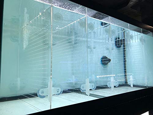 Acrylic Aquarium Divider Kit 5.5/10 / 20L / 20H / 29 / 40B / 55/75 / 125gal Fish Tank with Suction Cups
