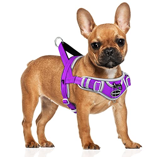 ADVENTUREMORE Dog Harness for Small Dogs No Pull, Dog Halter Harness Adjustable Reflective Dog Vest Escape Proof Dog Harness with Easy Control Front Clip Handle for Training Walking S Purple