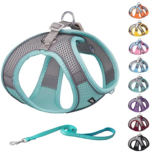 AIITLE Soft Mesh Dog Harness and Leash Set for Walking - Summer Step in Vest Harness,Reflective Bands, Adjustable No Pull Pet Supplies, for Small Dogs and House Cats Turquoise XS