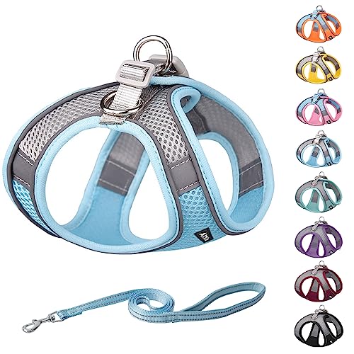 AIITLE Step in Dog Harness and Leash Set - No Pull Escape Proof Vest Harness with Soft Mesh and Reflective Bands, Adjustable Pet Outdoor Harnesses for Small and Medium Dogs Blue M