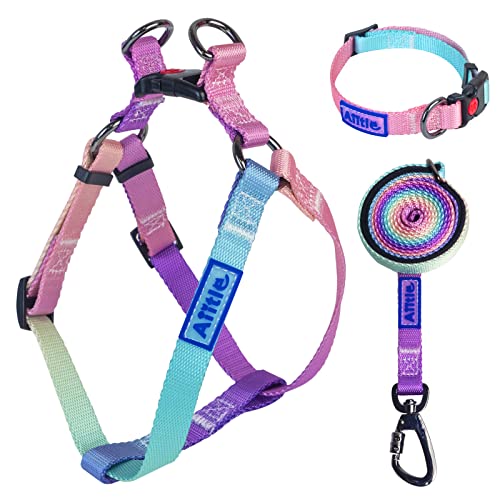 AIITLE Step in Dog Harness Collar Leash Set - Adjustable Heavy Duty No Pull Halter Harness - Buckle with Locking System,Double D Ring - Walking Running for Small Medium Large Dogs,Pink Gradient XS