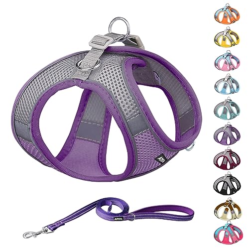 AIITLE Summer Pet Supply No Pull, Step in Adjustable Dog Harness with Padded Vest for Hot Weather, Easy to Put on Small and Medium Dogs Purple S