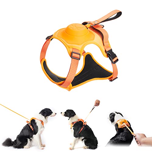 All-in-one Dog Harness with Retractable Leash, No Pull Dog Harness, Automatic Anti-burst Impact Function and Free Hands, Adjustable Breathable Pet Harness, Easy to Control for Medium Large Dogs