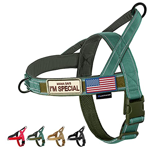 Annchwool No Pull Dog Harness with Soft Padded Handle,Reflective Strip Escape Proof and Quick Fit to Adjust Dog Harness,Easy for Training Walking for Small & Medium and Large Dog(Green,L)