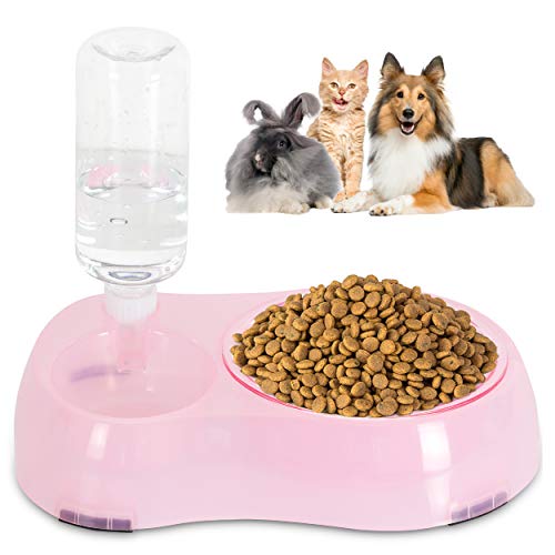 ANYPET Slow Feeder Bowl, Elevated, Double Transparent for Cats, Small Dogs, Pet Automatic Water Feeder with Water Bottle, Pink (APF06P)