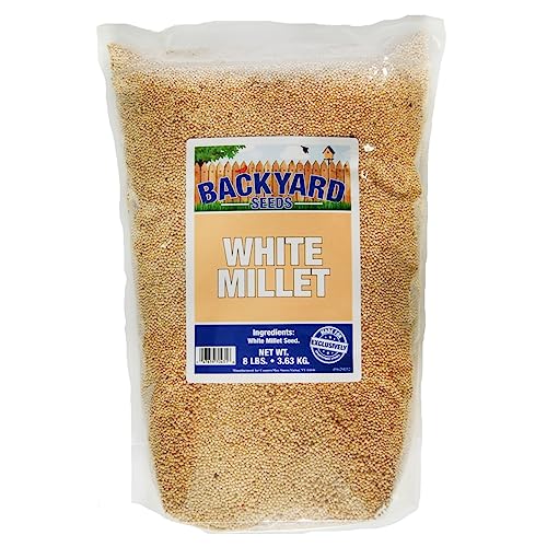 Backyard Seeds White Millet Bird Seed for Finches 8 Pounds (8 Pounds)