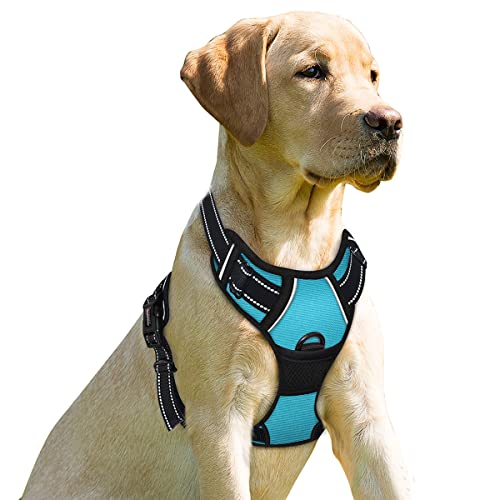 BARKBAY No Pull Dog Harness Front Clip Heavy Duty Reflective Easy Control Handle for Large Dog Walking(Blue,L)