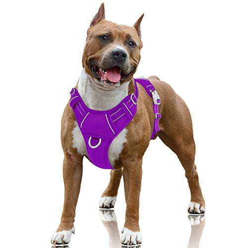 BARKBAY No Pull Dog Harness Large Step in Reflective Dog Harness with Front Clip and Easy Control Handle for Walking Training Running with ID tag Pocket(Purple,L)