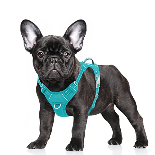 BARKBAY No Pull Dog Harness Large Step in Reflective Dog Harness with Front Clip and Easy Control Handle for Walking Training Running with ID tag Pocket(Ocean Blue,S)