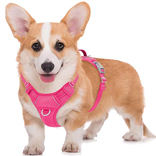 BARKBAY No Pull Dog Harness Large Step in Reflective Dog Harness with Front Clip and Easy Control Handle for Walking Training Running with ID tag Pocket(Pink,M)
