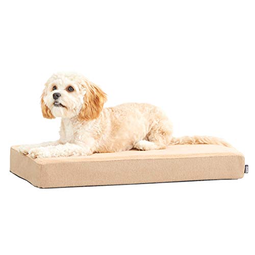 Barkbox Memory Foam Platform Dog Bed | Plush Mattress for Orthopedic Joint Relief (Small, Sand)