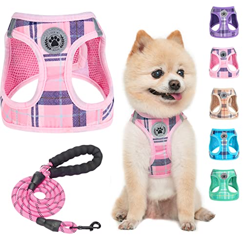 BEAUTYZOO Small Dog Harness and Leash Set,Step in No Chock No Pull Soft Mesh Dog Harnesses Reflective for Extra-Small/Small Medium Puppy Dogs and Cats, Plaid Dog Vest Harness for XS S Pets, Pink S