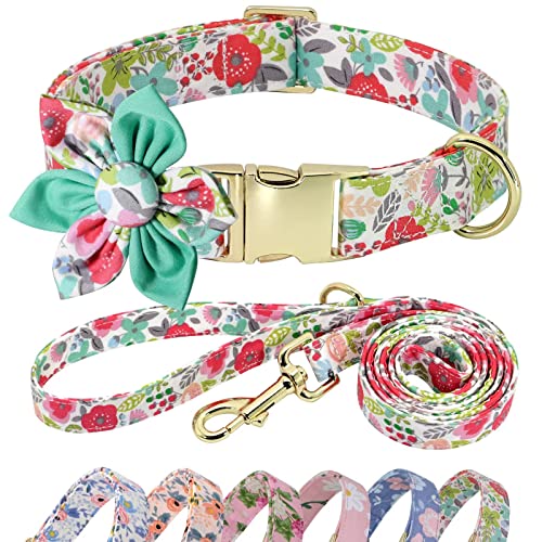 Beirui Cute Girl Dog Collar and Leash Set for Female Dogs- Floral Dog Collar with Flower for Small Medium Large Dogs Puppy, L:Neck 15-24", Leash 5FT, Green-1