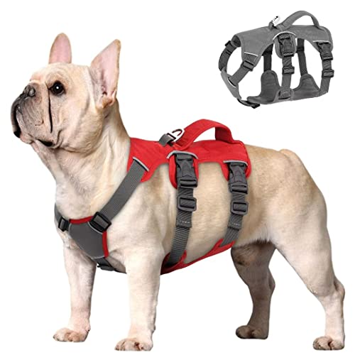 Beirui Escape Proof Dog Harness for Small Medium Dogs, Reflective Dog Harness No Pull with Padded Handle, Waterproof Dog Harness for Daily Walking Training (Red,Chest 12-20”)