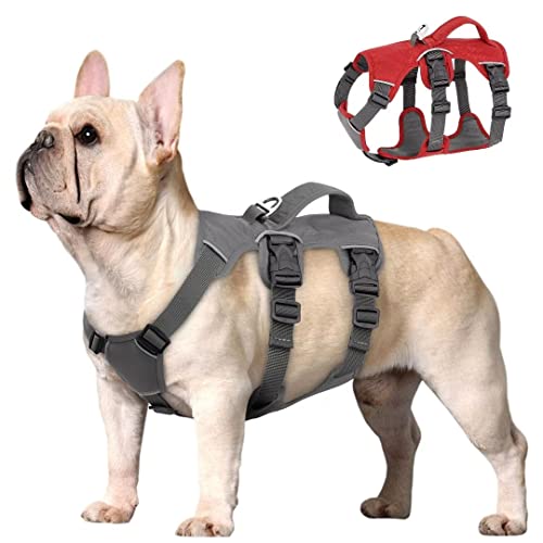 Beirui Escape Proof Dog Harness for Small Medium Dogs, Reflective Dog Harness No Pull with Padded Handle, Waterproof Dog Harness for Daily Walking Training (Gray,Chest 10-16”)