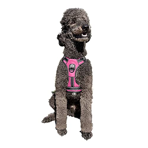 Benji&Me Dog Harness - No Pull Walking & Training Harness with 2 Leash Clips, Reinforced Stitching - Reflective - Adjustable Straps, Soft Padded Handle, Easy to Control, No Choke Pet Vest, Pink, XL