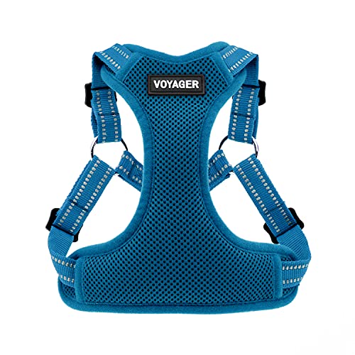 Best Pet Supplies Voyager Adjustable Dog Harness with Reflective Stripes for Walking, Jogging, Heavy-Duty Full Body No Pull Vest with Leash D-Ring, Breathable All-Weather - Harness (Turquoise), S