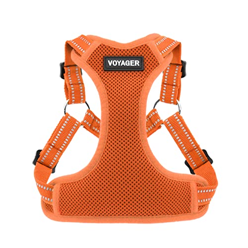 Best Pet Supplies Voyager Adjustable Dog Harness with Reflective Stripes for Walking, Jogging, Heavy-Duty Full Body No Pull Vest with Leash D-Ring, Breathable All-Weather - Harness (Orange), M