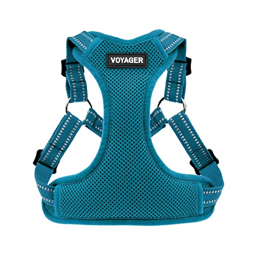 Best Pet Supplies Voyager Adjustable Dog Harness with Reflective Stripes for Walking, Jogging, Heavy-Duty Full Body No Pull Vest with Leash D-Ring, Breathable All-Weather - Harness (Turquoise), L