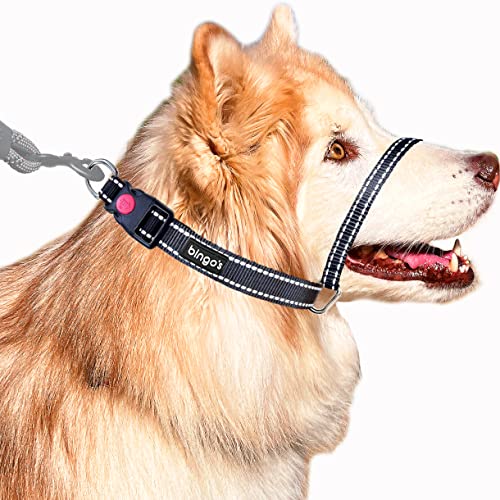 Bingo’s Back Clip Gentle Lead for Medium Dogs w. Longer Snouts. Easy to Use No Pull Dog Collar Reflective w. Safety Locking Buckle. Dog Halter Nose Lead Snout Harness. Upper Neck: 12-16". M Black