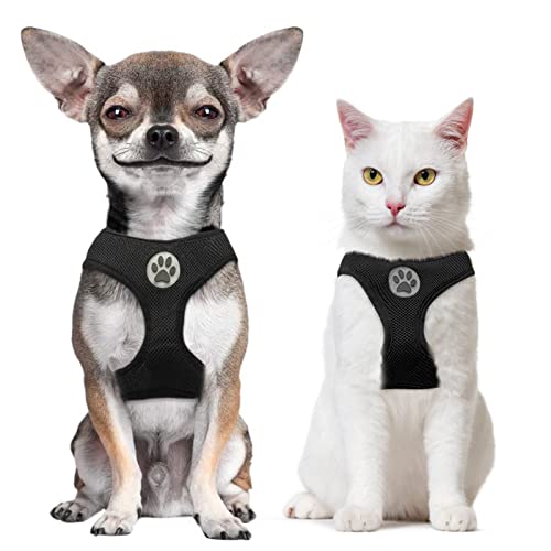 BINGPET Small Dog Harness - Breathable Mesh Puppy Cat Harnesses - No Pull Adjustable Dog Harness Dog Vest Harness for Small and Medium Dogs