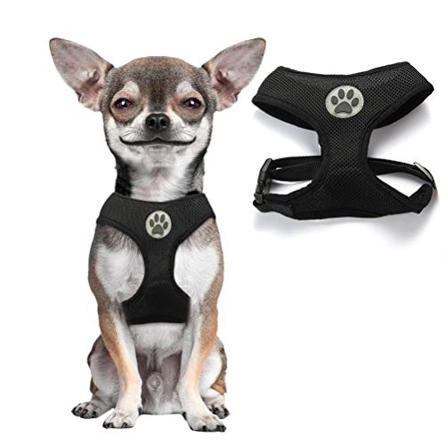 BINGPET Small Dog Harness - Breathable Mesh Puppy Cat Harnesses - No Pull Adjustable Dog Harness Dog Vest Harness for Small and Medium Dogs
